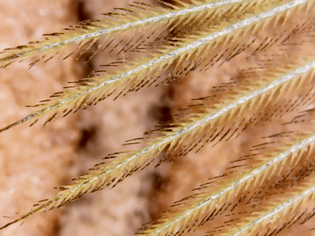 vlcsnap-2016-10-14-15h48m11s828