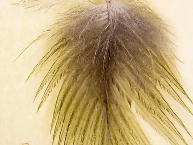 vlcsnap-2016-10-14-15h50m57s657