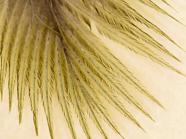 vlcsnap-2016-10-14-15h53m00s405